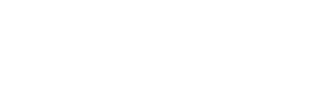 Forja Estratégia Empresarial